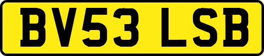 BV53LSB