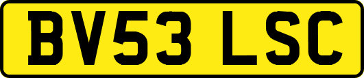 BV53LSC