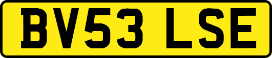 BV53LSE