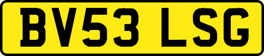 BV53LSG