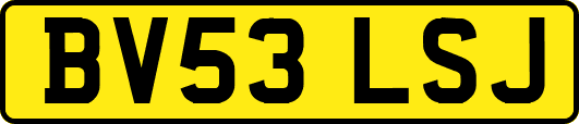 BV53LSJ