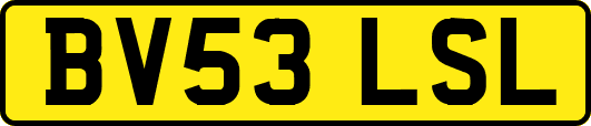 BV53LSL