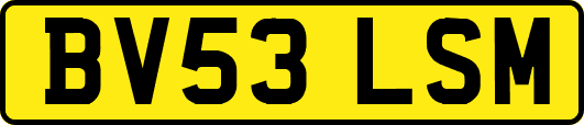 BV53LSM