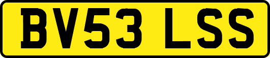 BV53LSS
