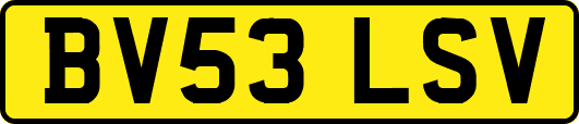 BV53LSV