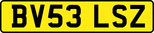 BV53LSZ