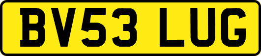BV53LUG