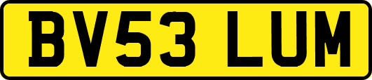 BV53LUM
