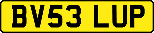 BV53LUP