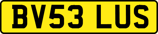 BV53LUS