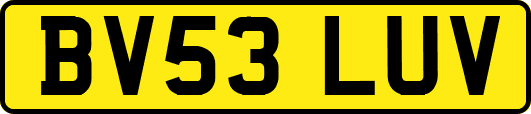 BV53LUV