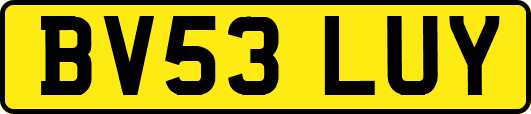 BV53LUY