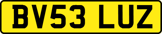 BV53LUZ