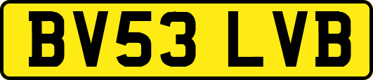 BV53LVB