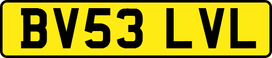 BV53LVL