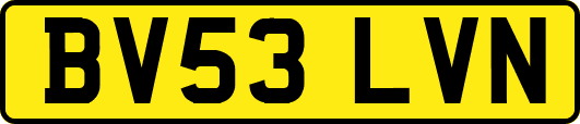 BV53LVN