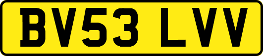 BV53LVV