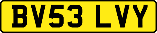 BV53LVY
