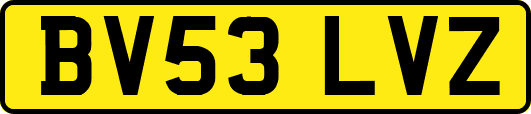 BV53LVZ