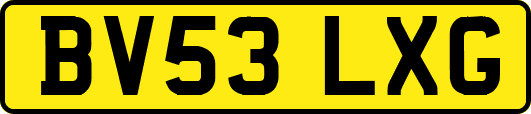 BV53LXG
