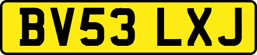 BV53LXJ