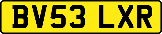 BV53LXR