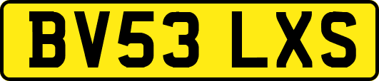 BV53LXS