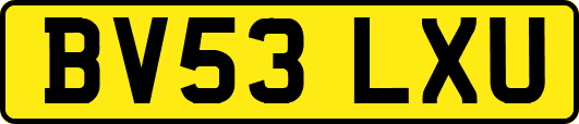 BV53LXU