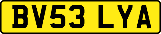BV53LYA