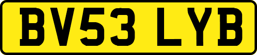 BV53LYB