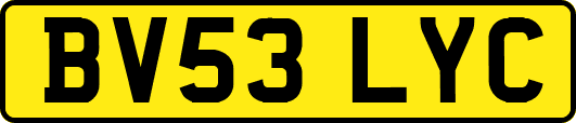 BV53LYC
