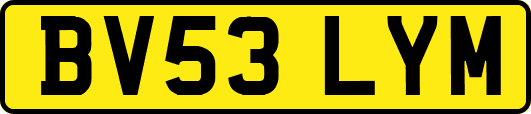 BV53LYM