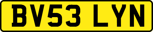 BV53LYN