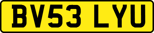 BV53LYU