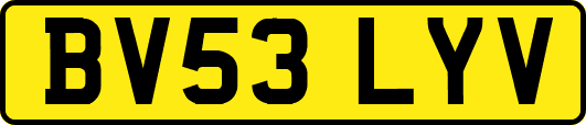 BV53LYV