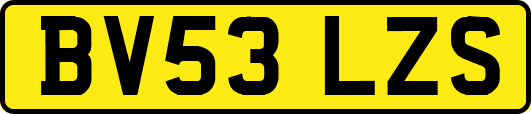 BV53LZS