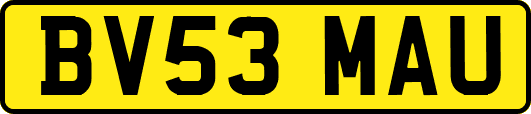 BV53MAU