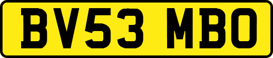 BV53MBO