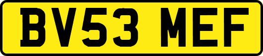 BV53MEF