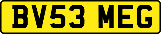 BV53MEG