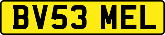 BV53MEL