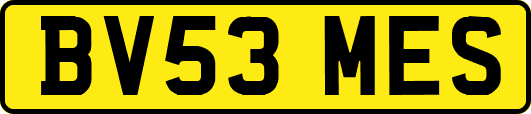 BV53MES