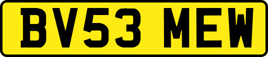 BV53MEW