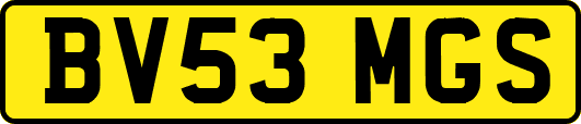BV53MGS