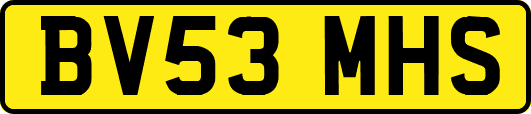 BV53MHS