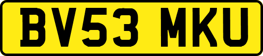 BV53MKU