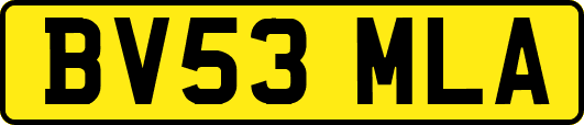 BV53MLA