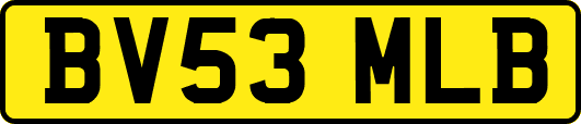 BV53MLB