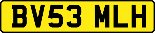 BV53MLH