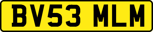 BV53MLM